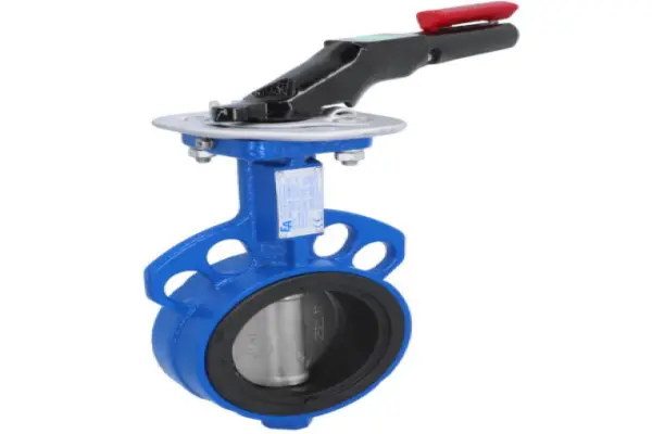 Butterfly valve DN80
